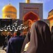 سایه مولوی