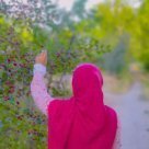 مبینا کامرانی