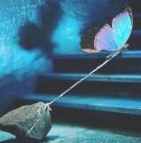 فاطمه آرمده