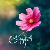 Mehdi.313
