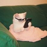 محدثه مرادی